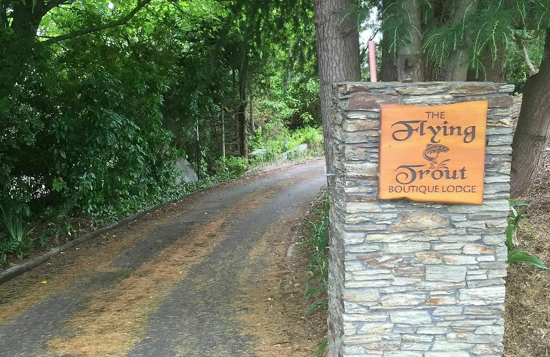 The Flying Trout Boutique Lodge-1